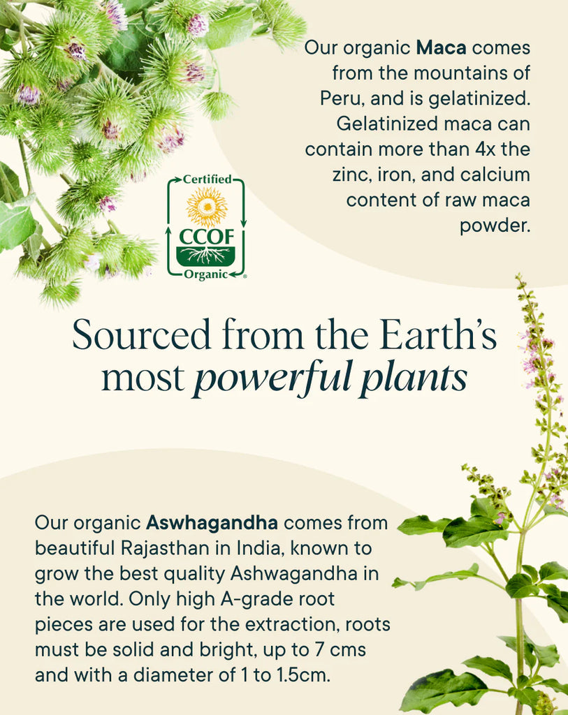 Harmonius Hormonal Balance & Support